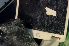 高考完被家长搜房间、砸手机，中国孩子何时逃出中式教育的牢笼？图片