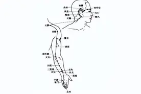 穴位养生-手少阳三焦经图片