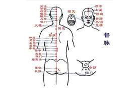 督脉堵塞，人会怎么样？督脉是人体的太阳，大家要护好它图片