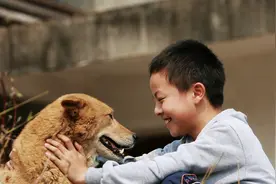 1939年，日军狼狗逞凶中国，国军警犬专家想起幼时玩伴：就靠你了图片