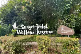 涌向新加坡的打工人：薪资涨了60%，生活成本也高了一倍，租房需要填简历和面试图片