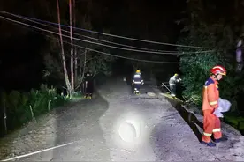 吓人！广东4米大蟒蛇进家偷鸭！有多危险？遇到了应该怎么办？图片