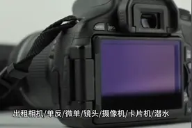 出租相机，灯光，稳定器摄影器材图片