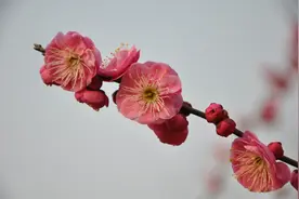 说说“老师”这个称谓图片