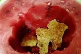 馕，新疆饮食界的尖子生图片