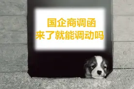 国企商调函来了就能调动吗图片