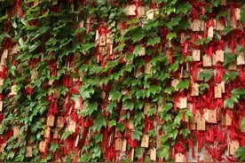 缘分真是上天注定的，你信吗？图片