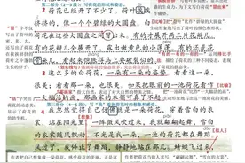 三年级下册语文第三课《荷花》讲解笔记+同步练习图片