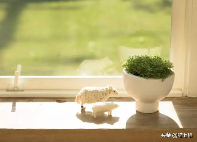 【文案】53条适合发朋友圈的短句