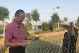 “讲小麦、种蔬菜，他们凭啥收获几十万粉丝？”图片