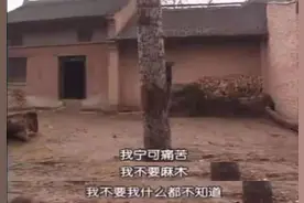 她抛夫弃子，却被全网夸赞20年：每个女人，都要允许自己叛逆一次图片