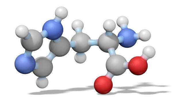 合成胶原蛋白的重要材料——氨基酸