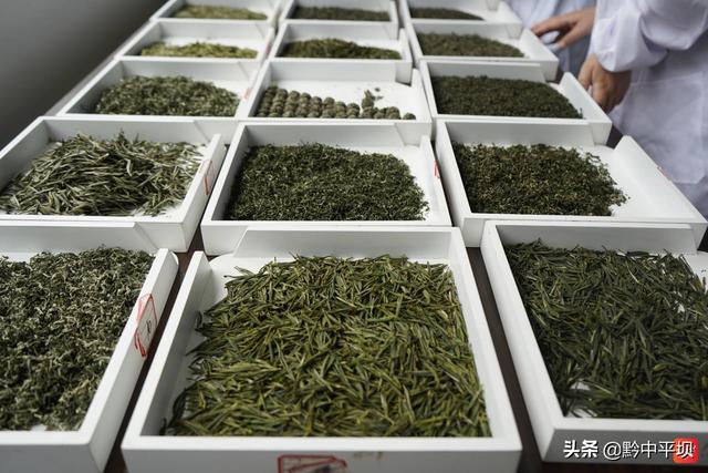 2022年贵州春季斗茶赛的含金量如何？精彩点评在此