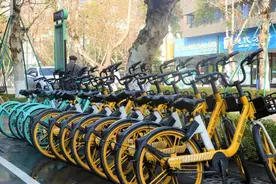 迎大运盛会 创文明典范④ | 共享单车共治共享，让城市更美好图片