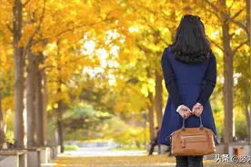 我爱上了我曾经的高中班主任图片