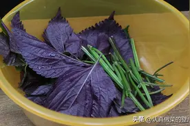 立秋以后，鸡蛋和紫苏是绝配，比水煮蛋强，不爱吃鸡蛋也会吃两个图片