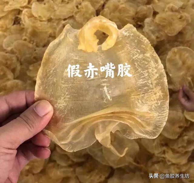 赤嘴鳘鱼胶真假 2026年赤嘴鱼胶的口感