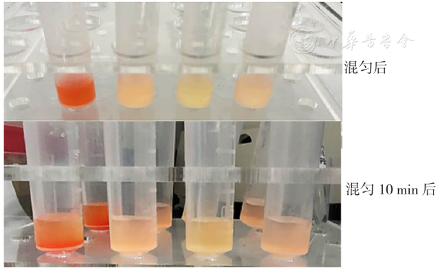 基于量子点标记技术的免疫层析法检测新型冠状病毒N蛋白IgG抗体研究