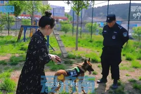 爱济南记者探访警犬基地丨它们高大威猛，但混熟就成了萌宠图片
