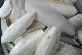 说说中药，海螵蛸 它是生长在海里乌贼这种生物的内壳...图片