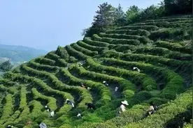 为什么把信阳市划分给河南？看完这个你就懂了图片