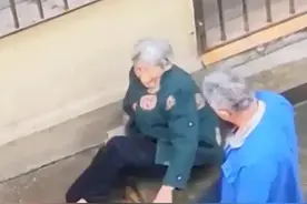 乌鸦尚知反哺，羊羔尚知跪乳图片