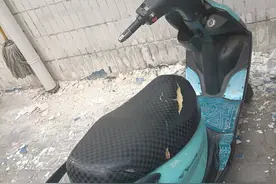 男子在小商品城门口偷盗电动车，被便衣民警当场抓获图片