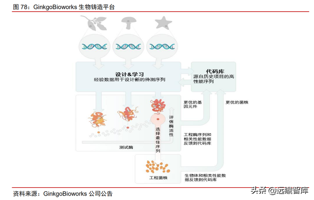 颠覆传统，合成生物：迎来历史发展机遇，乘势而起，引领未来