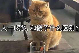 一秒教你识破对方的酒量图片