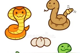 自然界有两种生育方式的生物你知道吗？图片