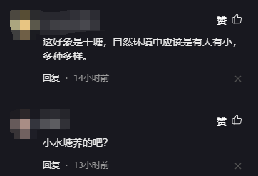 鱼身上长黑点怎么办