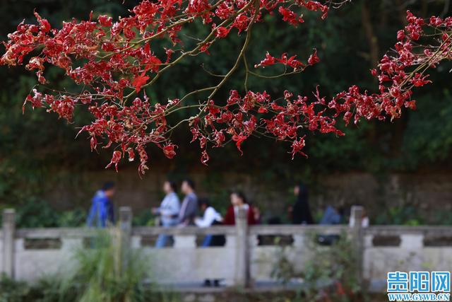黔灵山公园冬日迎游客热潮
