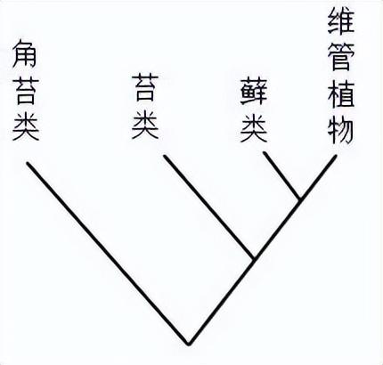 2021年全国中学生生物学联赛试题