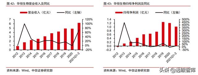 颠覆传统，合成生物：迎来历史发展机遇，乘势而起，引领未来