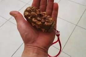 乡村乡文：花椒木图片