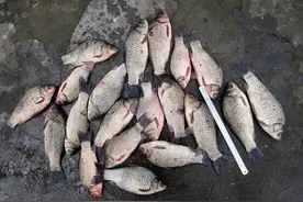 钓鱼十几年，唯独这种钓法戒不掉，不仅省事，关键钓的鱼还大图片