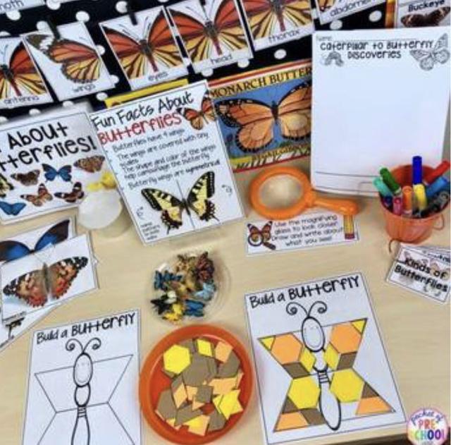 С��ѧ��̽��ϵ��֮���ں��������׻�زİ�