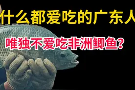 “非洲鲫鱼”是什么鬼？就连什么都吃的广东人，都怕吃到它？图片