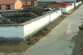 男子纵马驰骋拐弯时跌倒，然后马踢了主人一蹄子，绝尘而去图片