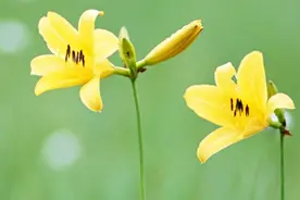 财运旺的人，普遍具有这些共性图片