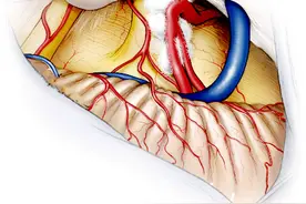 早期面肌痉挛能自然康复吗？不治疗会发展成什么样？图片