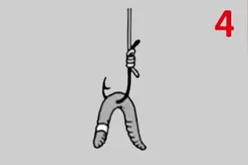 用蚯蚓钓鱼，常用的6种挂钩方法，挂钩不正确有鱼咬钩也难钓到图片