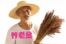 2022年，农村60岁以上老人能领多少养老金，你知道吗？图片