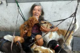 香港富二代继承5000万遗产，如今流浪街头沦为乞丐，终日与狗为伴图片