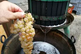红酒有保质期吗，存放多久比较合适，存了10年还能拿出来喝吗？图片