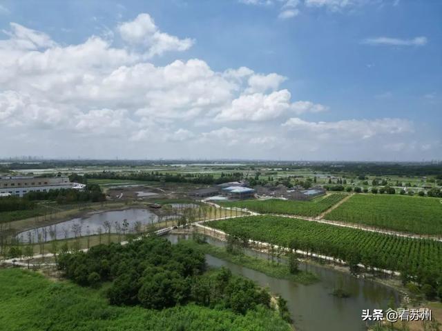 完工！封顶！收尾！吴江一批项目建设迎来最新进展