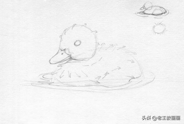 零基础素描教程，教你画一只小鸭子