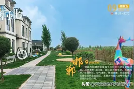 邯郸天下第一槐图片