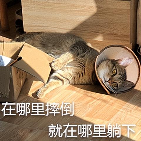 没有结局的《黄金矿工》，被B站网友玩出花