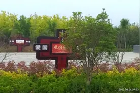 建设美丽乡村——河南省新乡经济技术开发区纬七路街道到处净绿亮美好春光图片